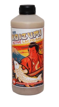 Mr Koizumi Lacto-Bac